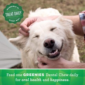https://kn95maskmall.com/product/greenies-original-regular-natural-dental-dog-treats-25-50-lb-dogs/