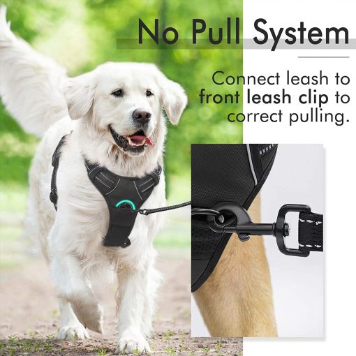 https://kn95maskmall.com/product/rabbitgoo-dog-harness-no-pull-pet-harness-with-2-leash-clips-adjustable-soft-padded-dog-vest-reflective-no-choke-pet-oxford-vest-with-easy-control-handle-for-small-dog-blue-s-chest-15-7-27-6/